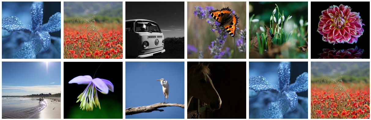 AYWMC pics.png