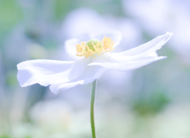 emmadaviesphotography-1751.jpg