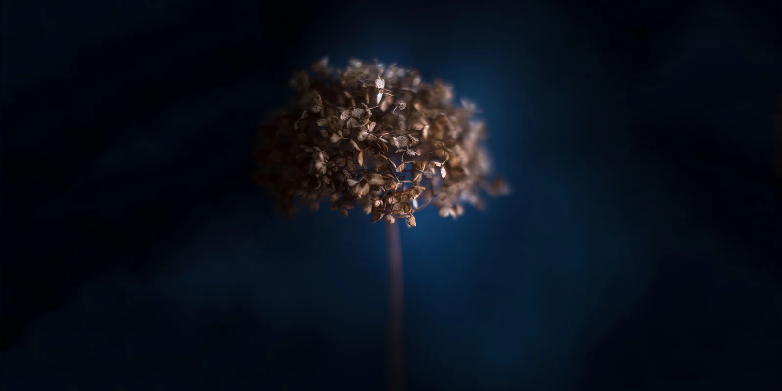 How does a cropped sensor affect bokeh?