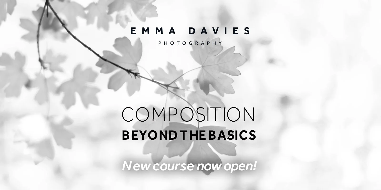 Composition: Beyond the Basics course