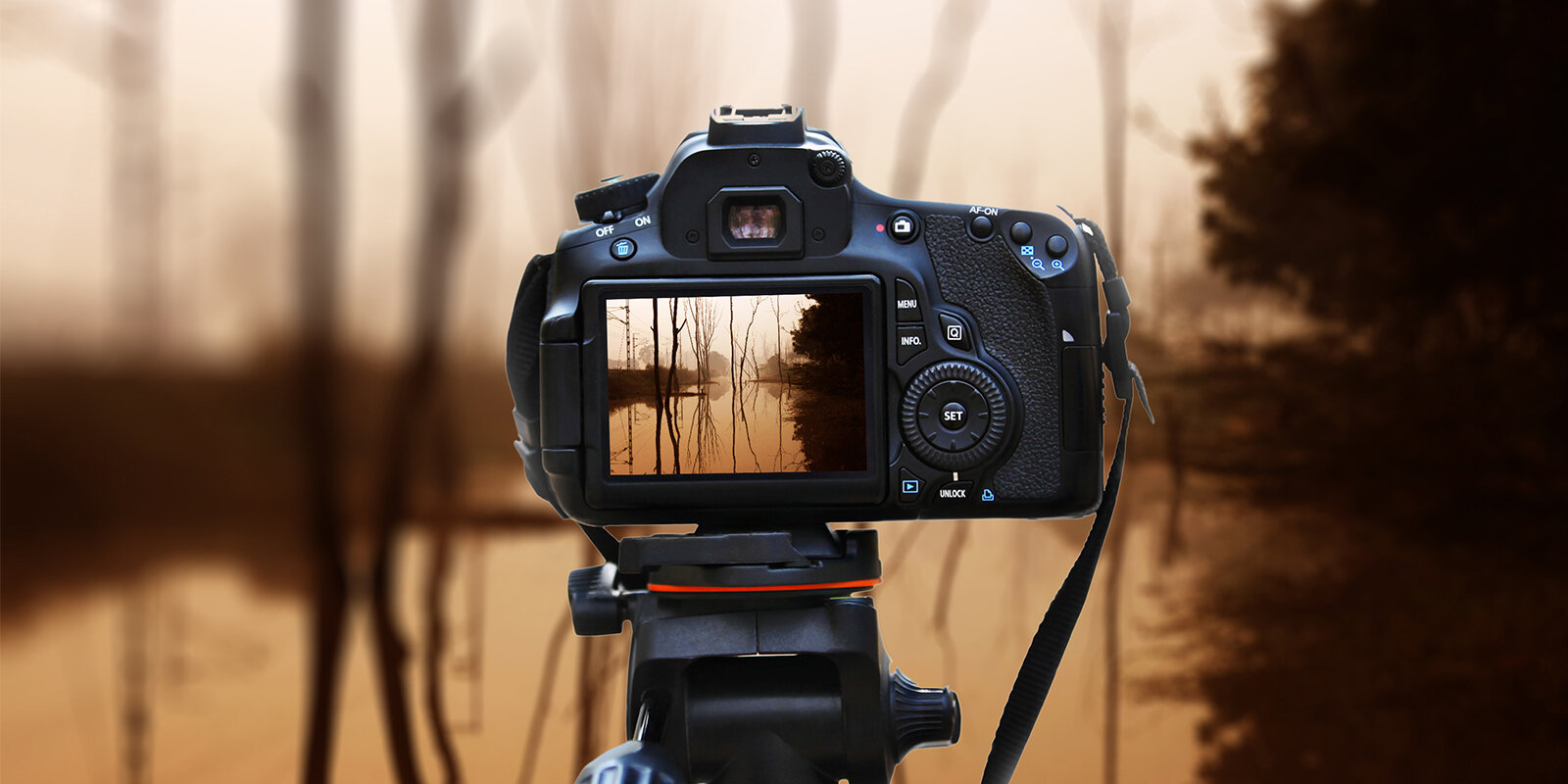 What is "Live View" on your camera?