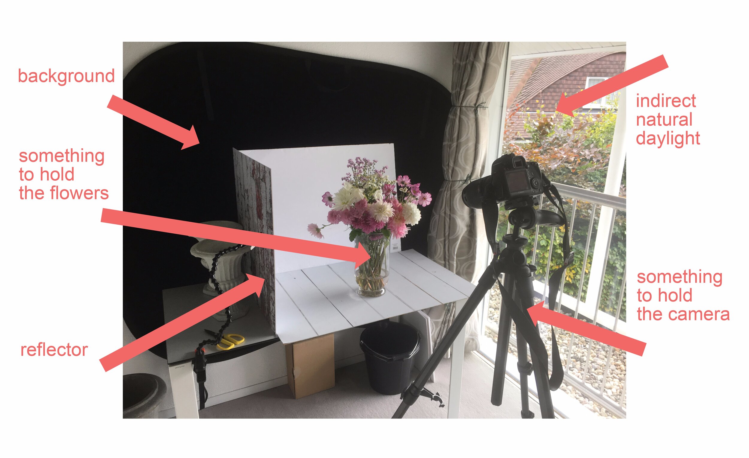 photography from home