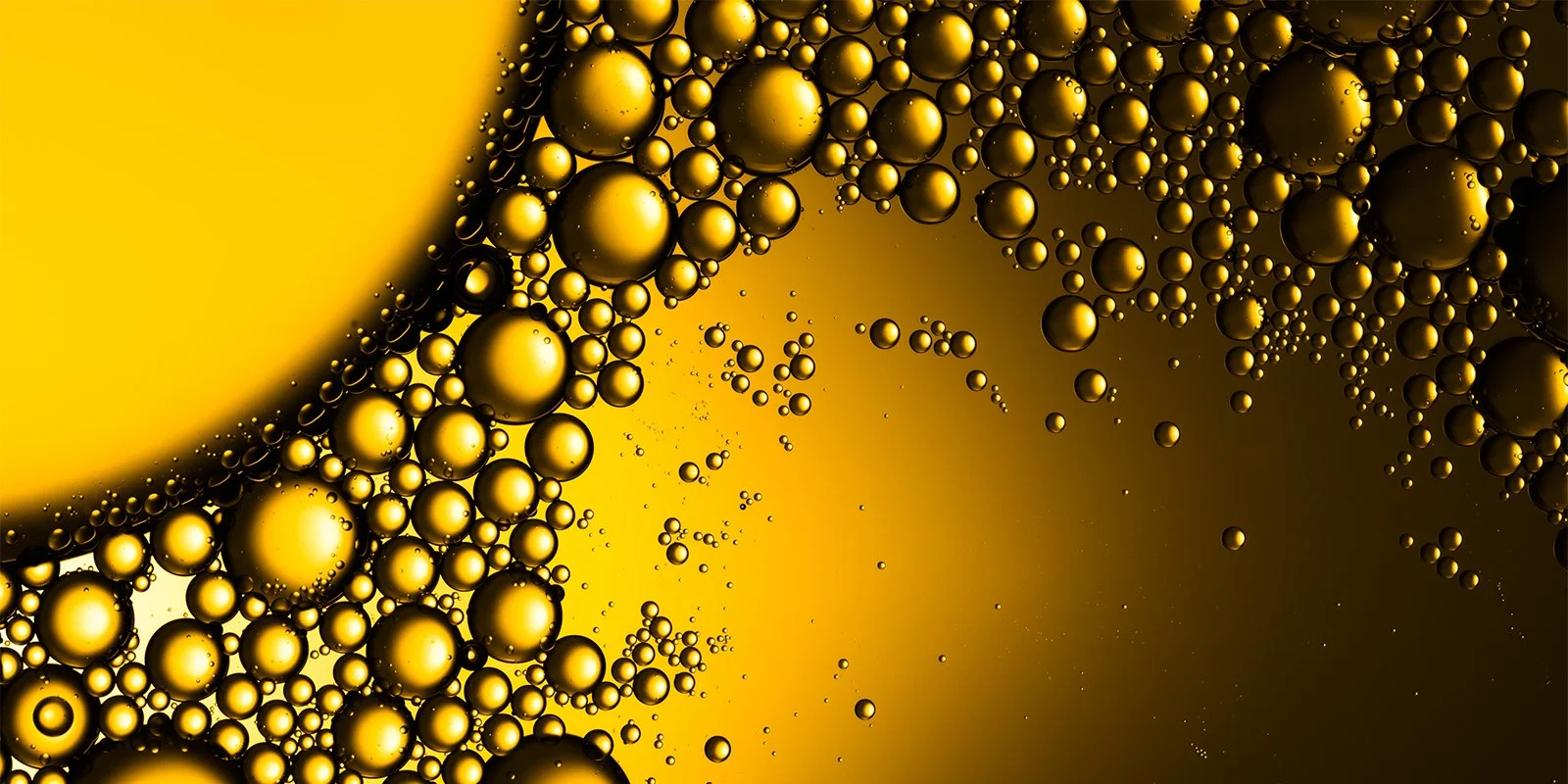 Introduction to macro photography