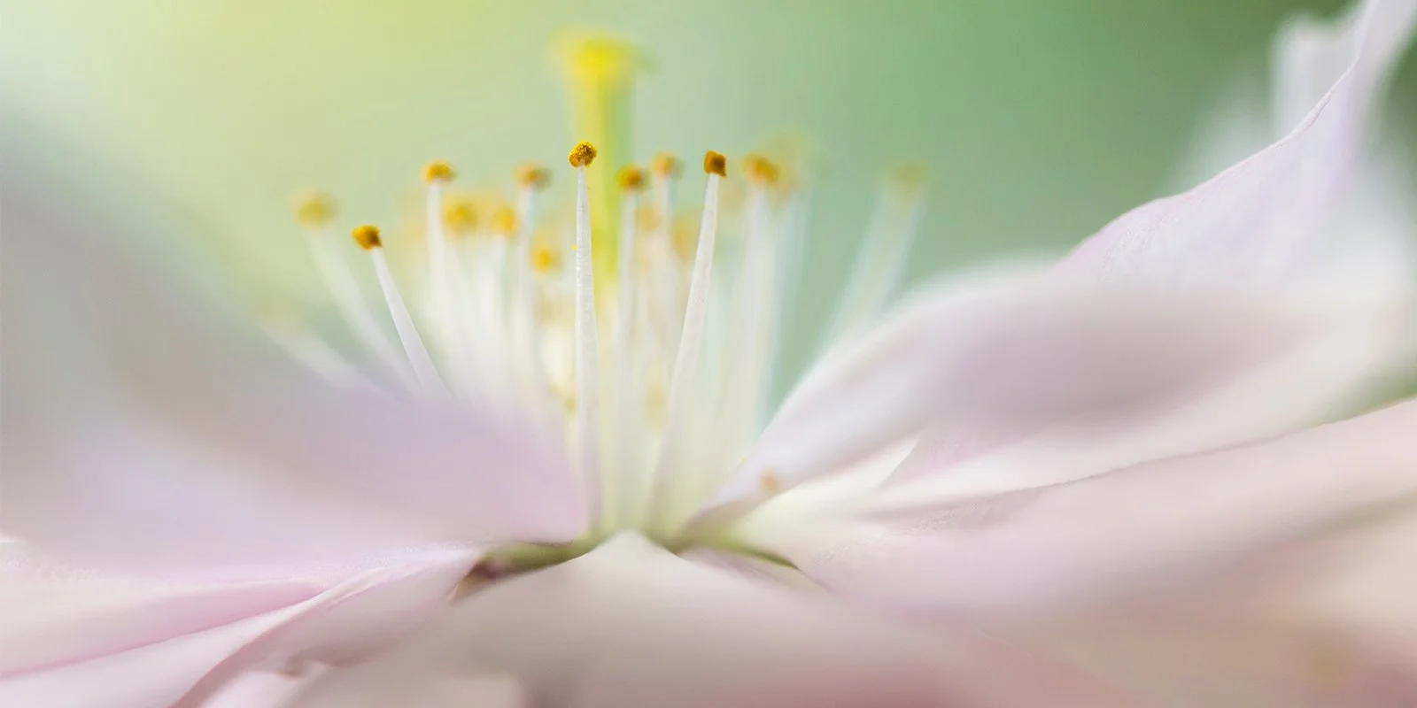 Close-up complications