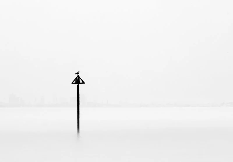 A long-exposure, very high-key photograph of a seagull perched on a groyne in the middle of the English Channel. The Portsmouth skyline is very faintly visible in the background.