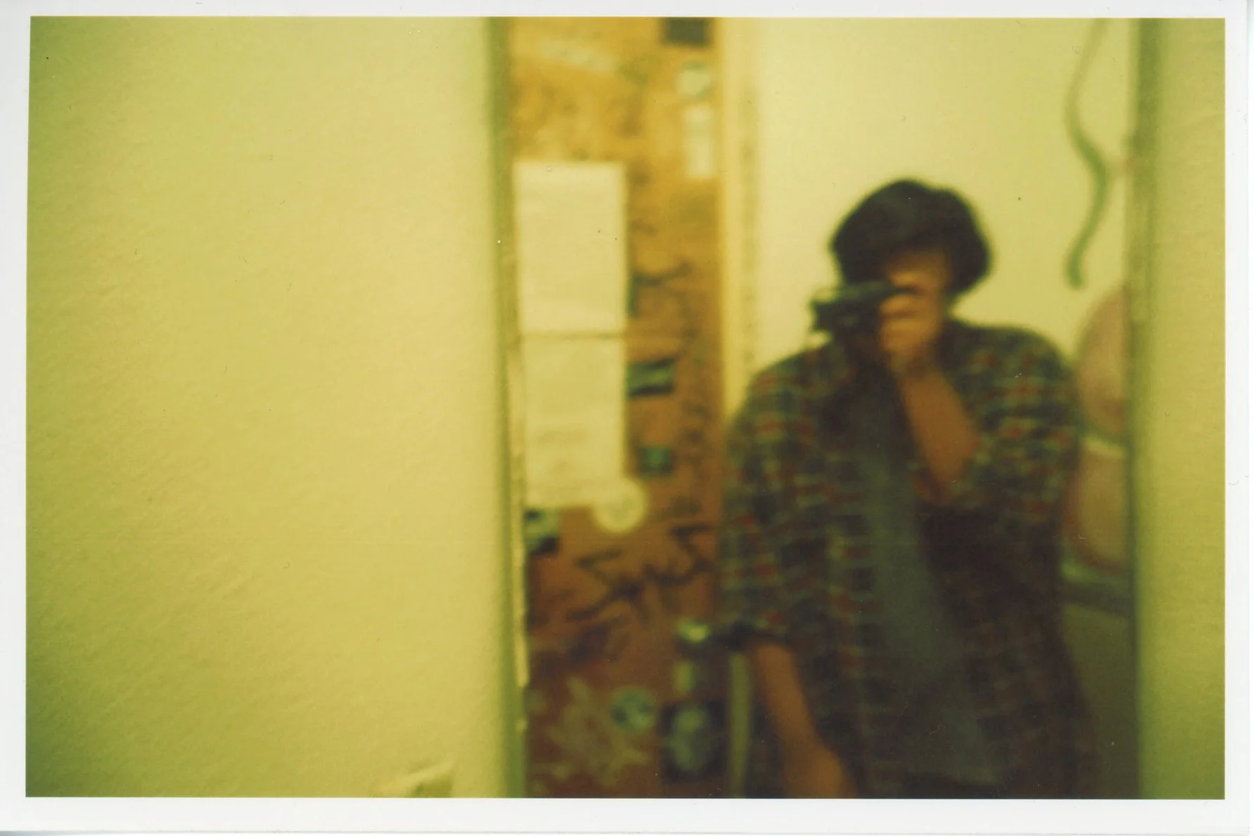 img445.jpg