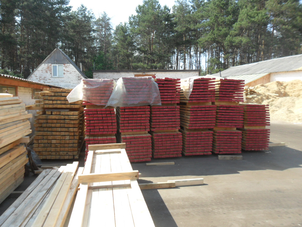 Blue stain wood (dead pine) partner in Brodoyanka 