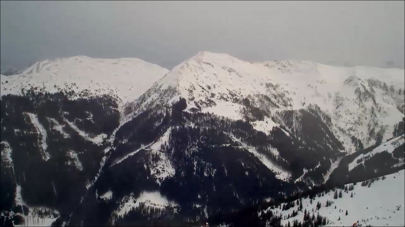 Coming to you live from Austria...