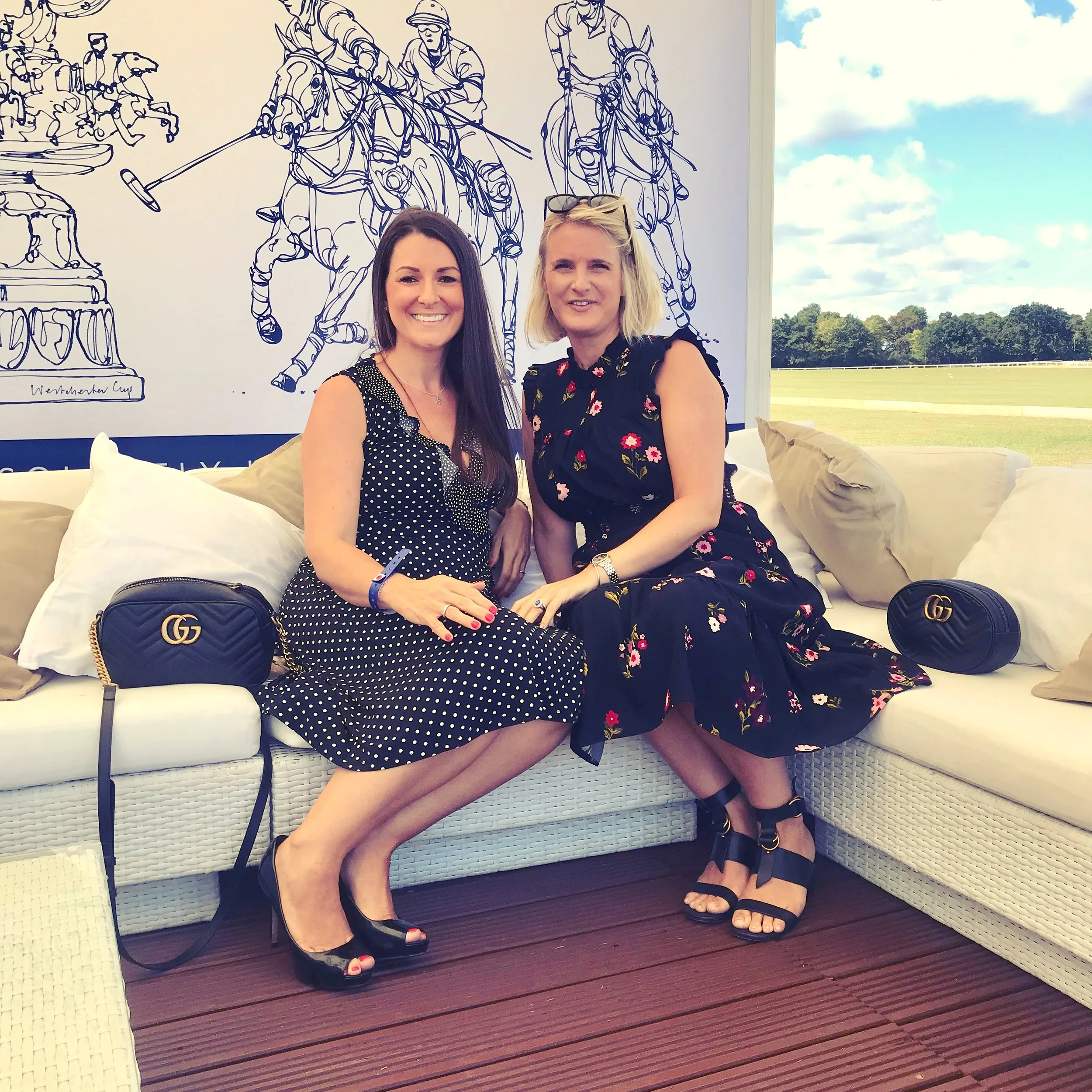 Anyone for horse hockey...