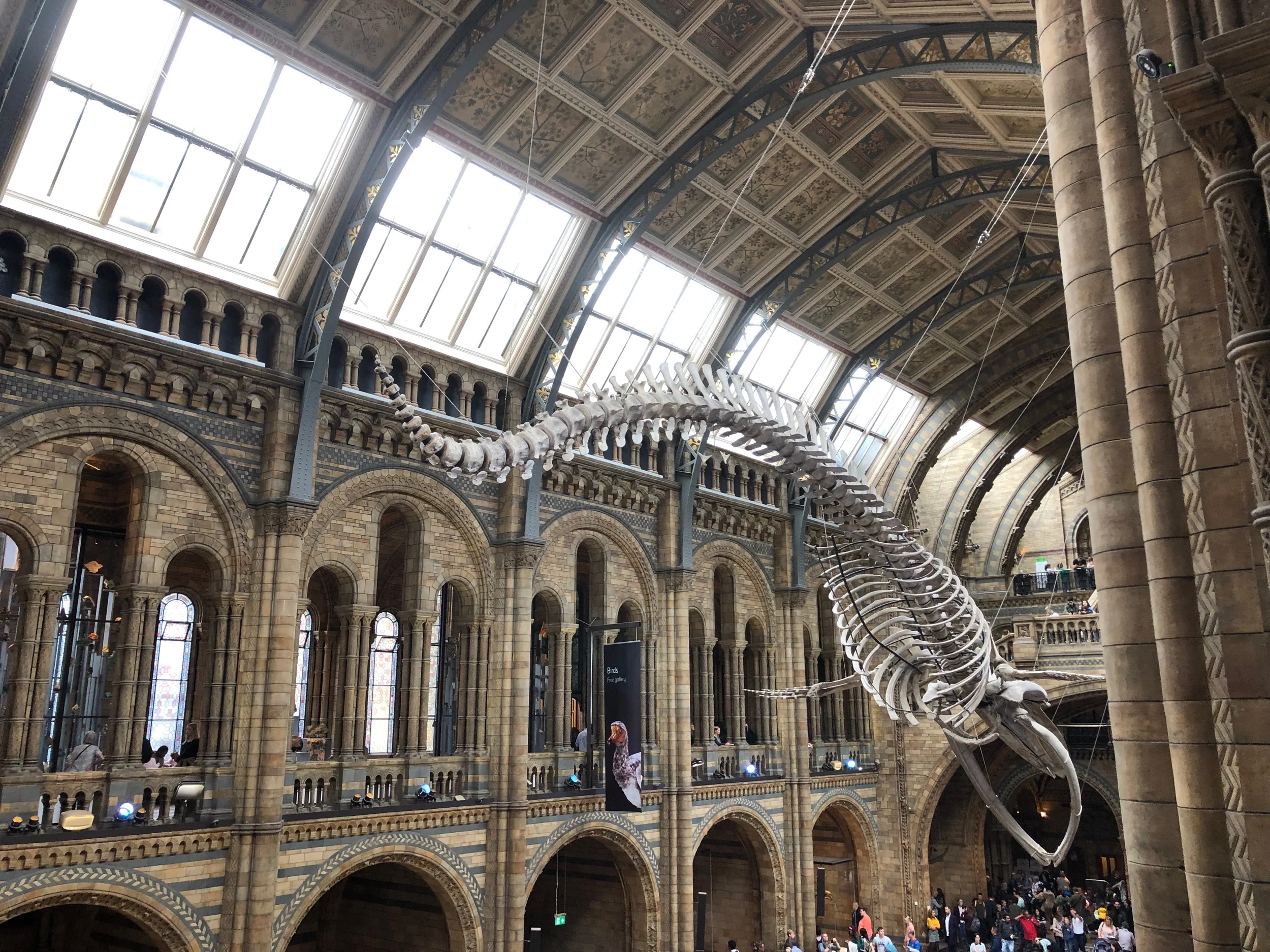 The Natural History Museum is one of my favourite places in the world. The building is incredible. And there’s a cafe that sells one of the best carrot cakes I’ve ever had, I have it every time.