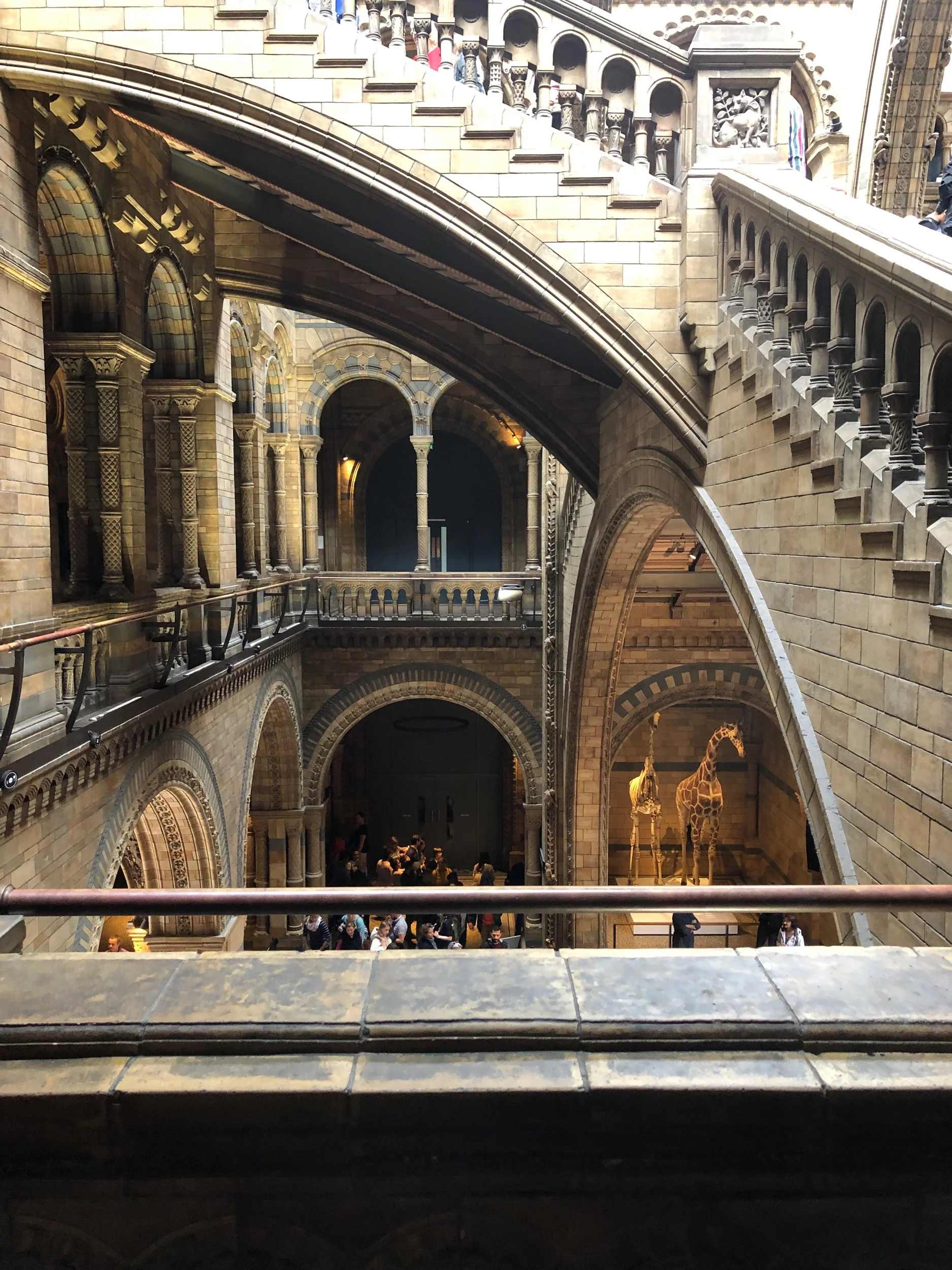 Parts of the museum look more like Hogwarts than Hogwarts!