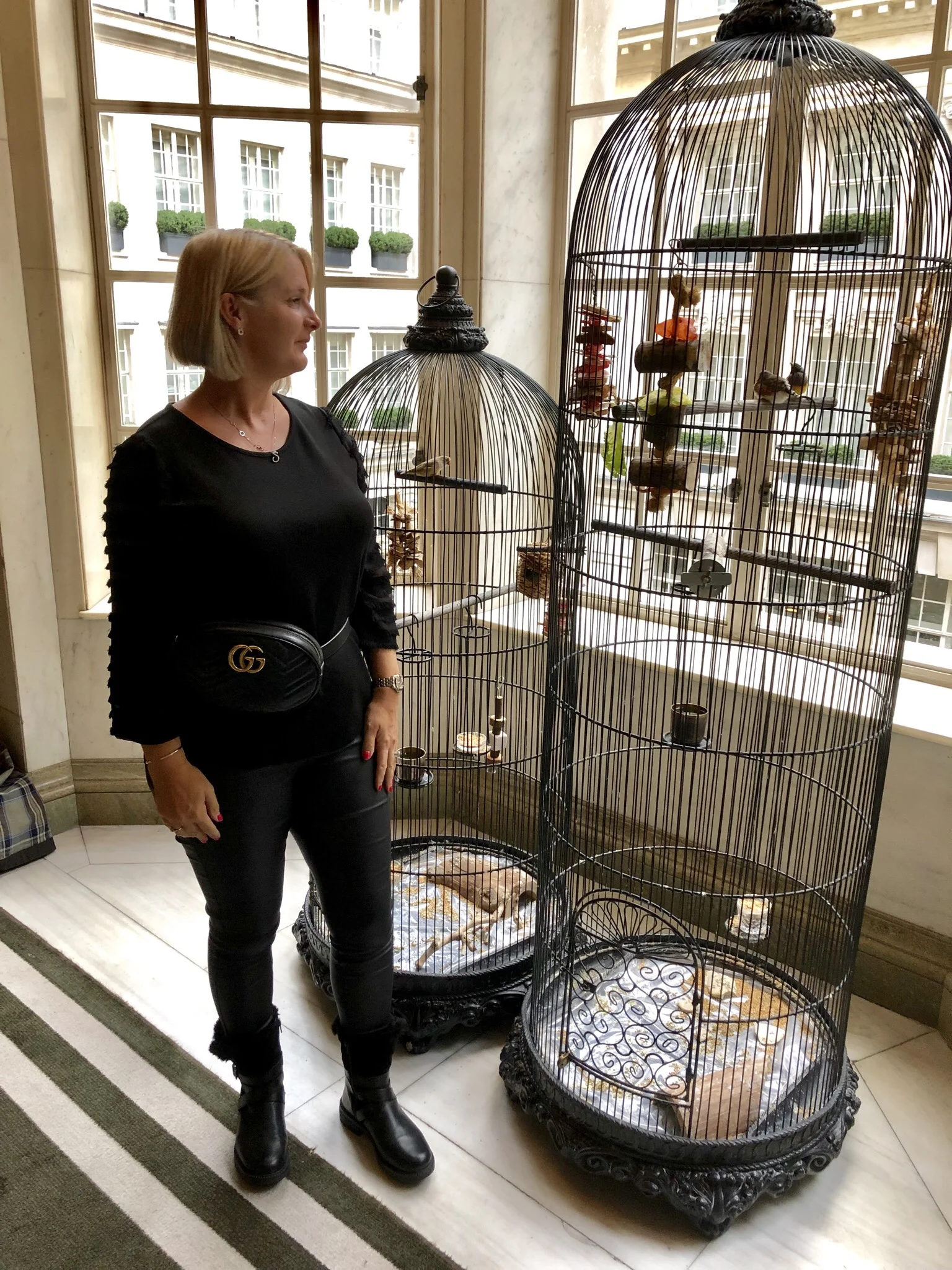 Dreaming of these cages in my house.