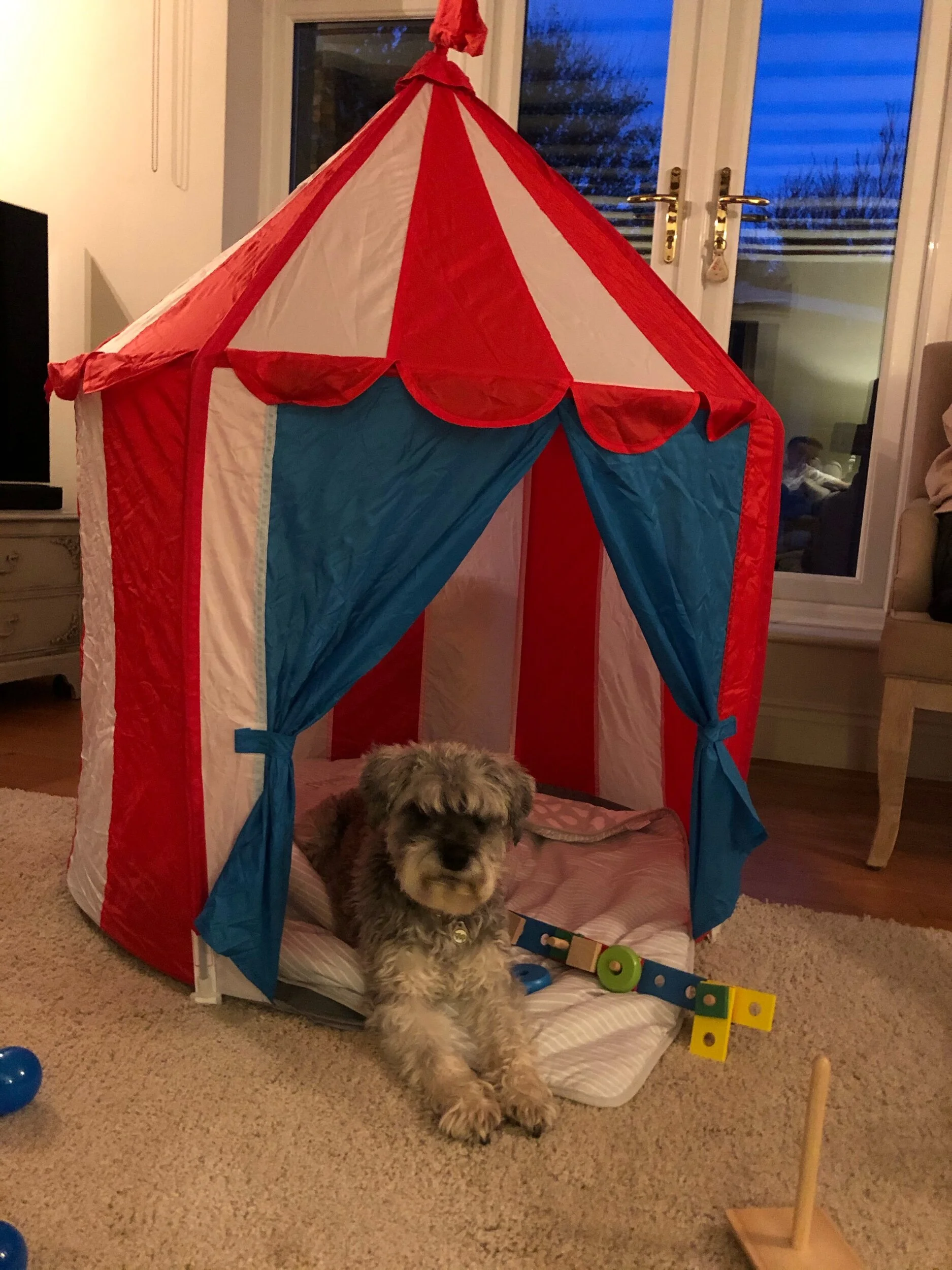 Pepper refuses to be left out, and why indeed should she. She’s family too. Hahahahaha