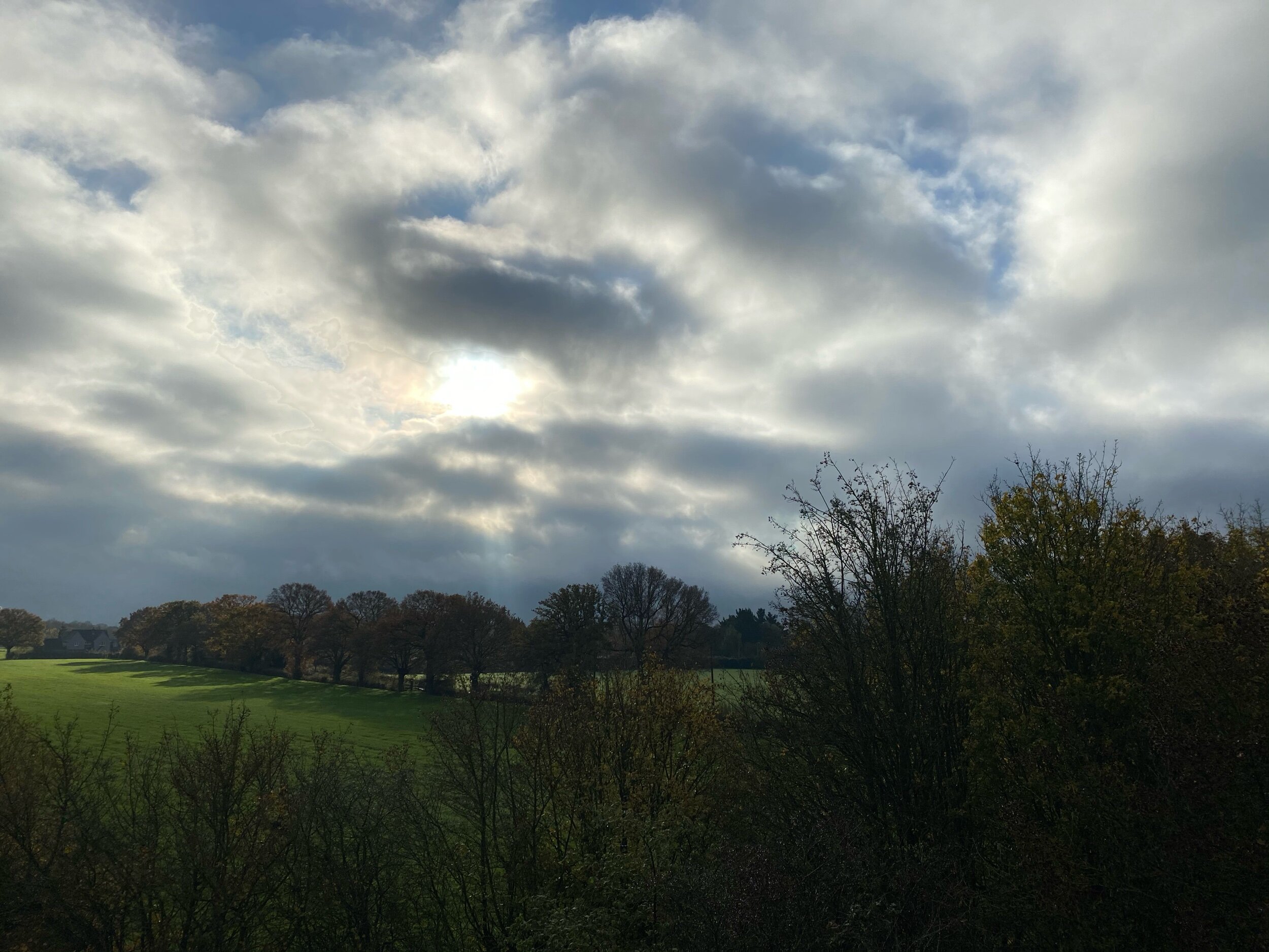 IMG_7539.jpeg