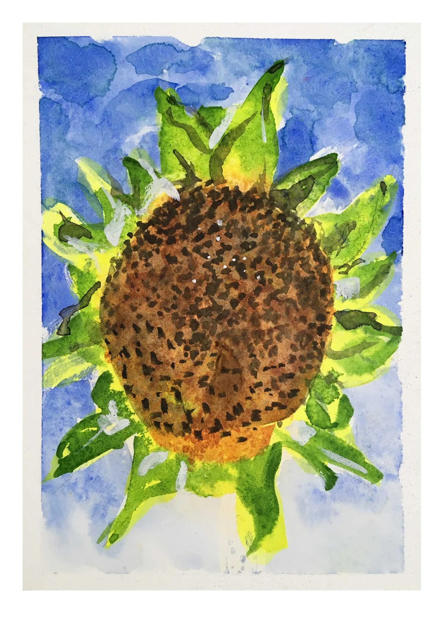 Sunflower-no-petals_sm.jpg