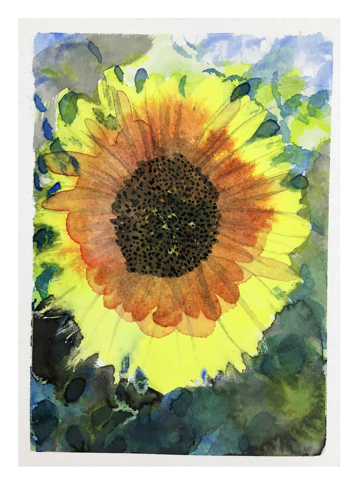 Sunflower-Orange_sm.jpg