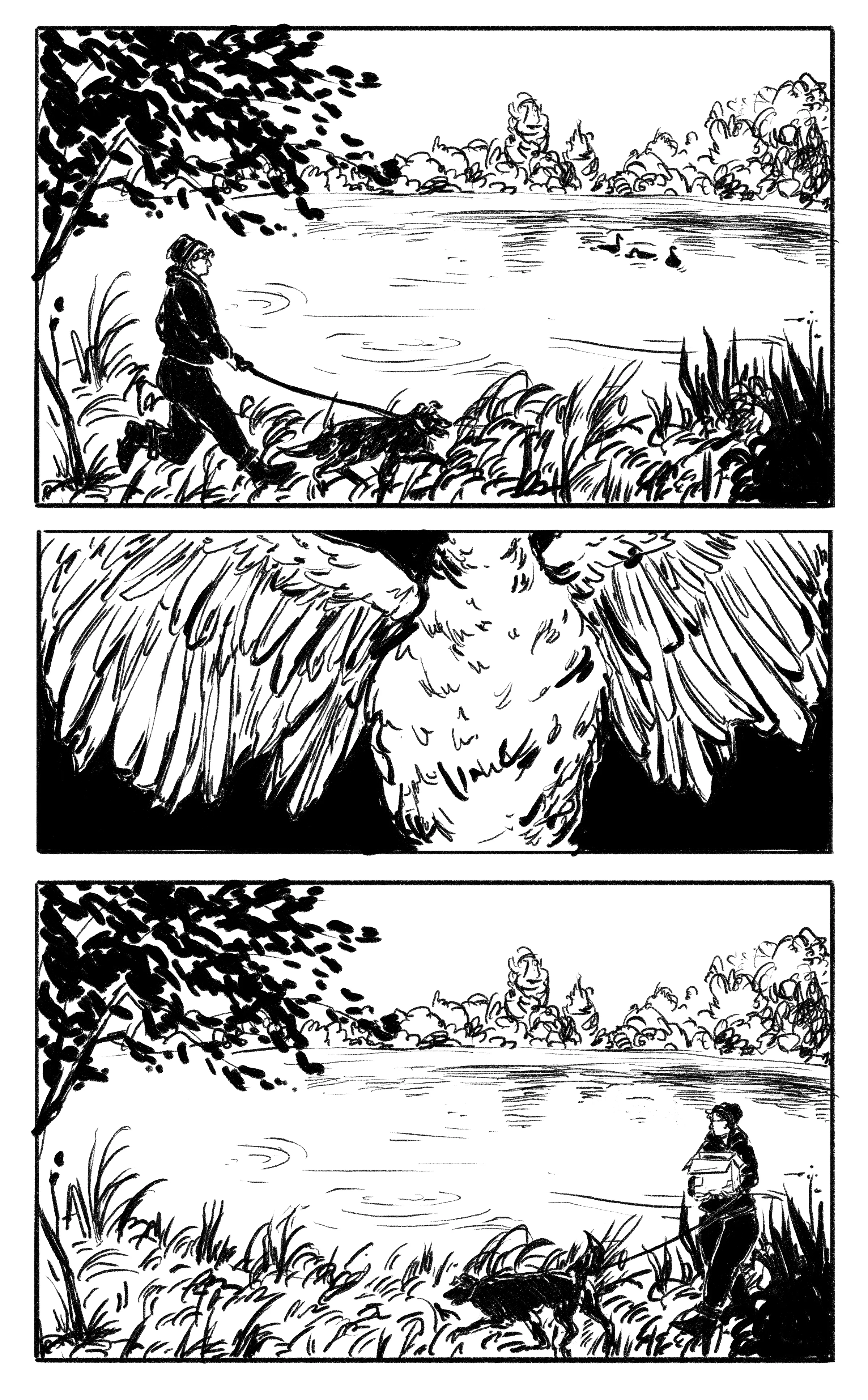 swanpanels.jpg