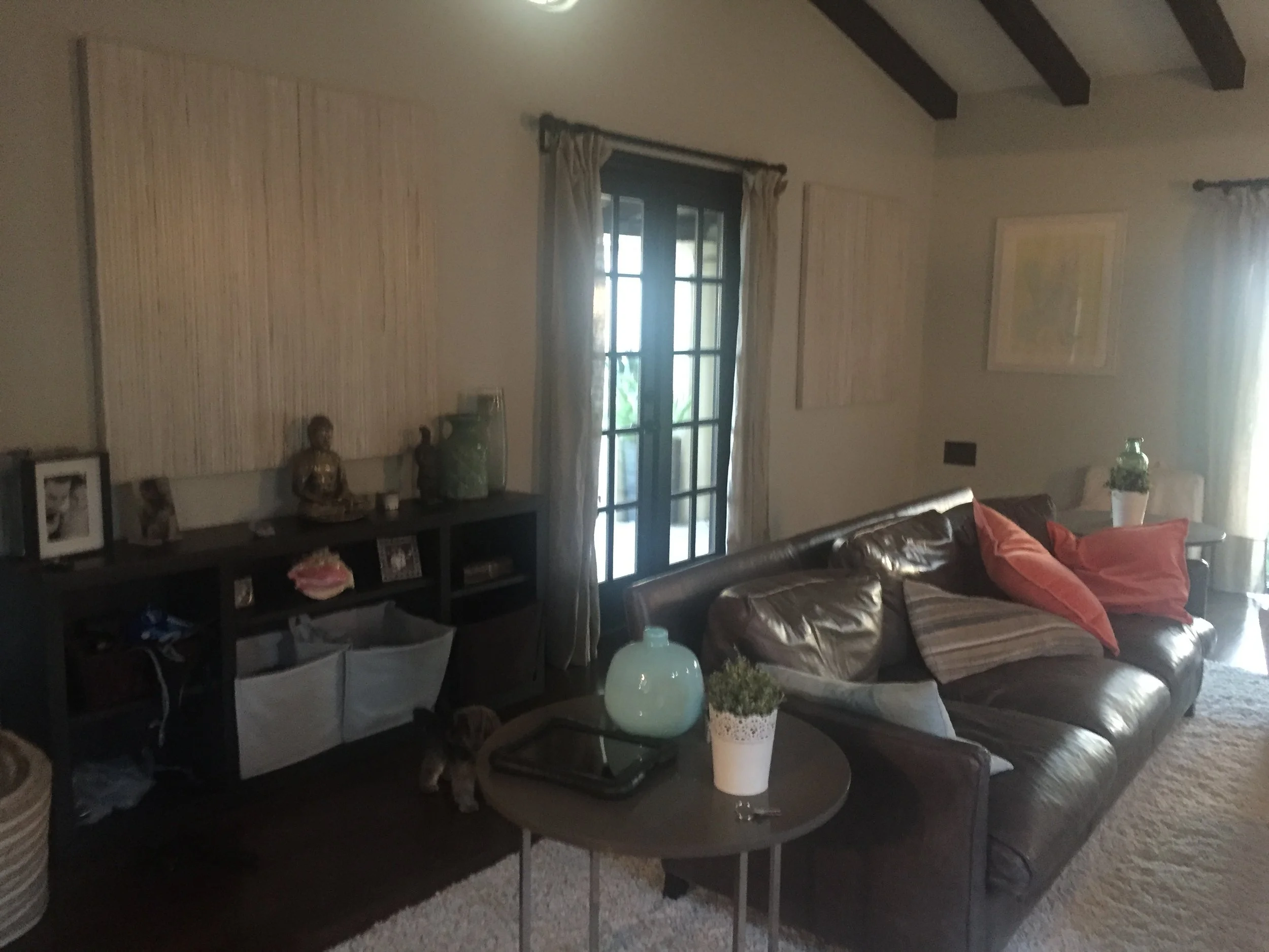Before: Living Room