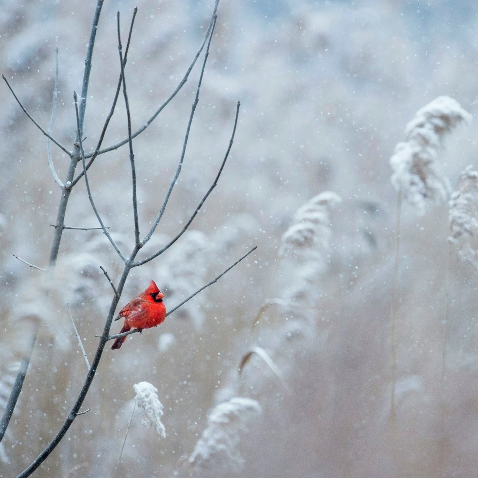 Produktiv bleiben als Kreativer und Architekt: 10 Lieblings-Tools für Fokus, Workflow &amp; Content