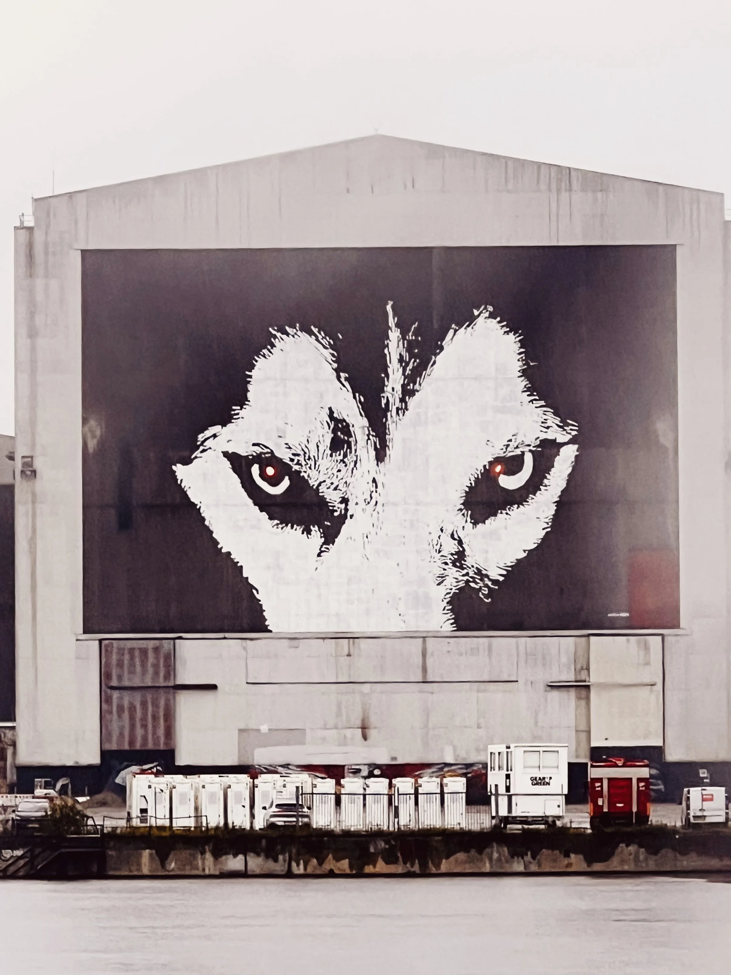 Großes Wandbild zeigt riesiegen Wolfskope