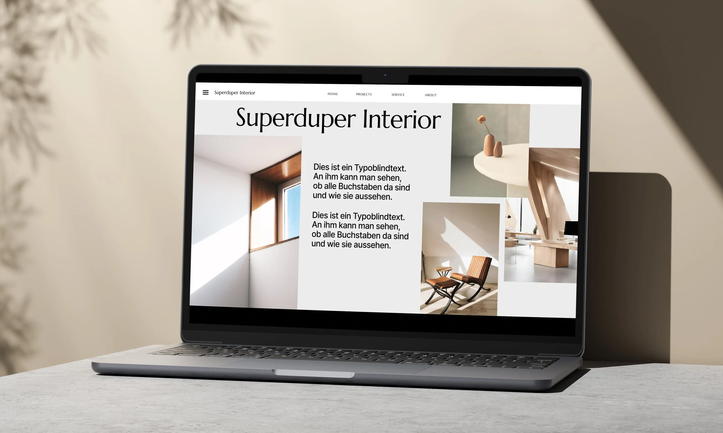 zeigt Macbook vor Wand mit Schatten und Website