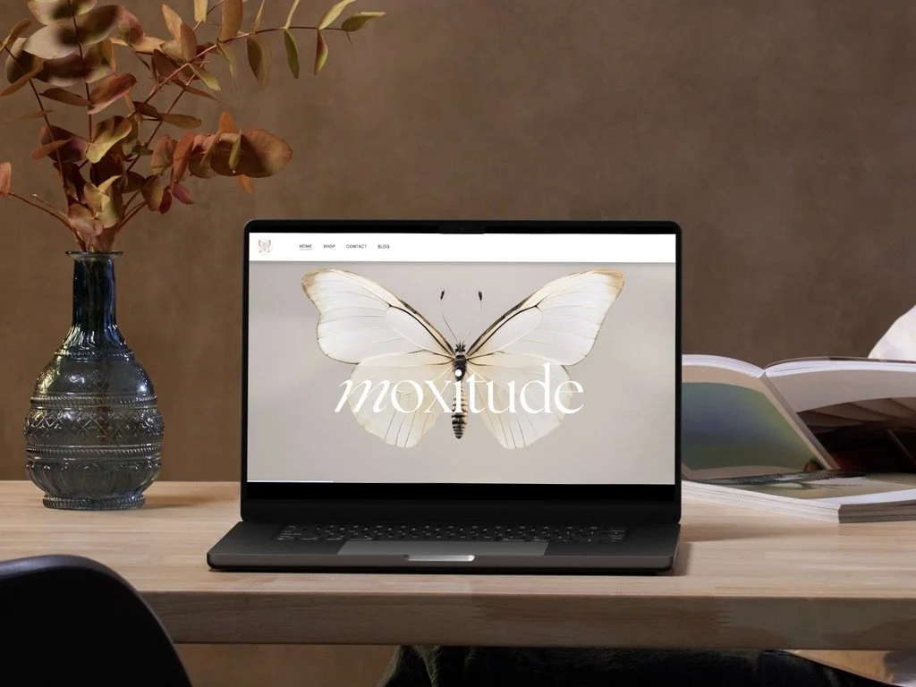 Laptop mit Website moxitude steht auf Tisch, daneben Vase mit brauen Blumen vor brauner Wand
