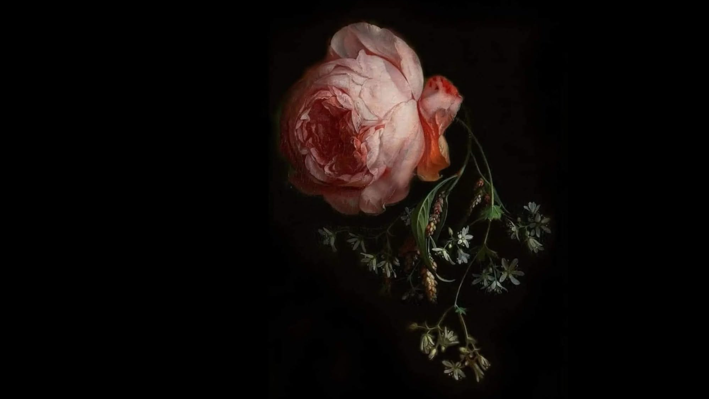 II Sweeter Than Roses.png