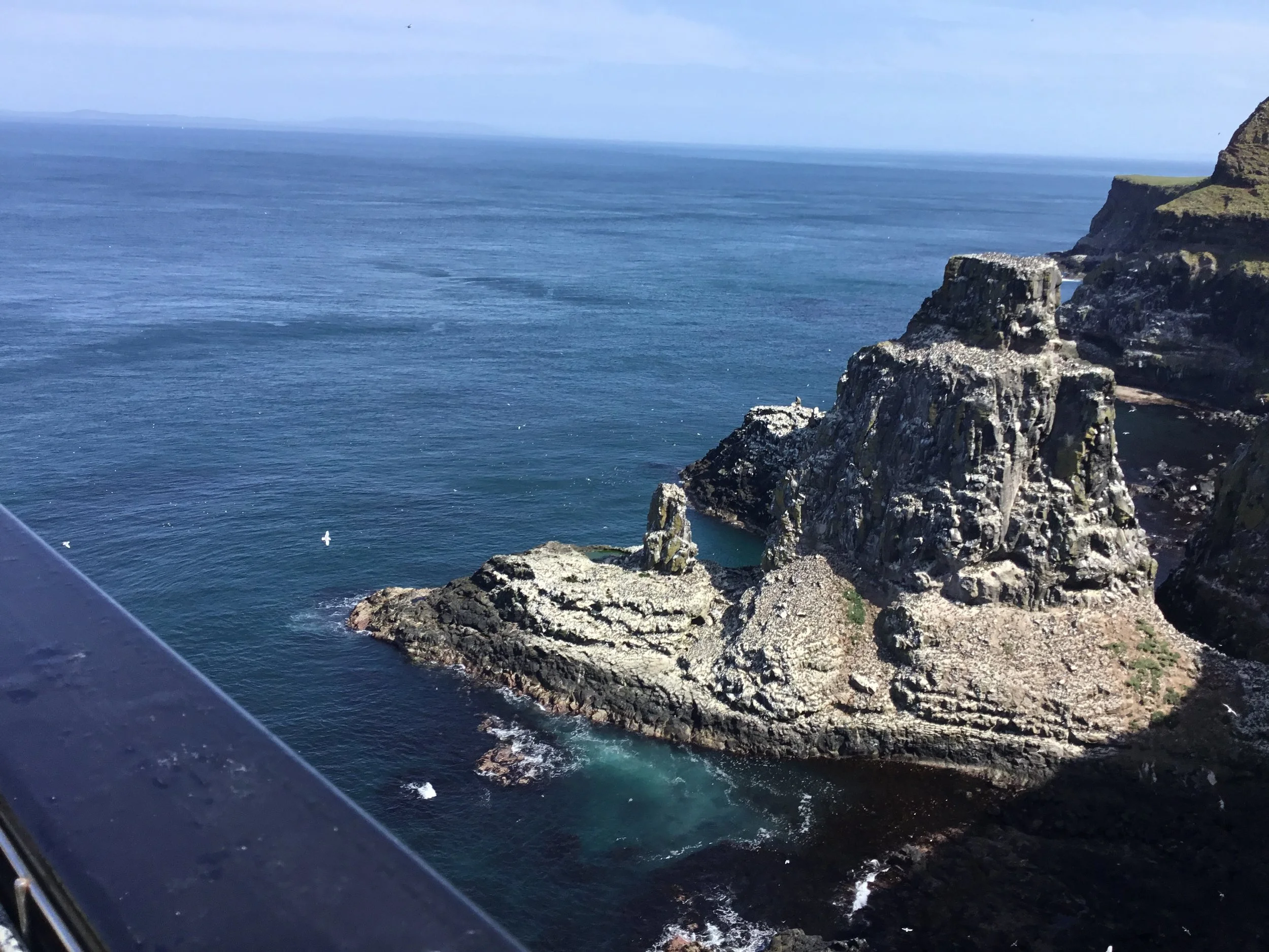 IMG_6027.JPG