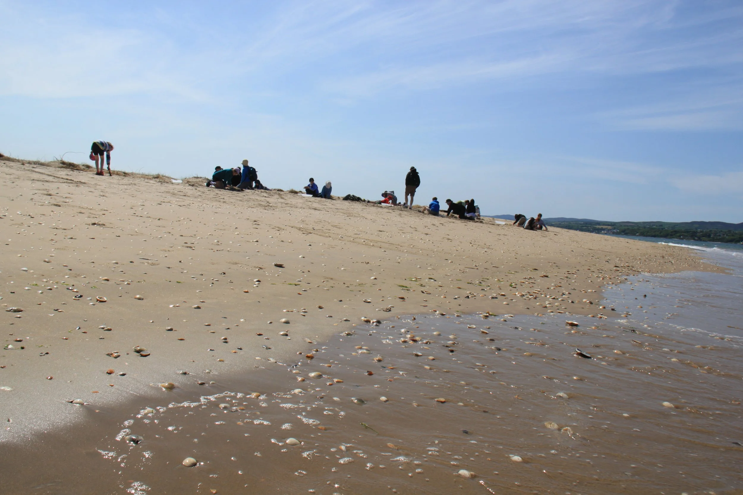 IMG_7979.JPG