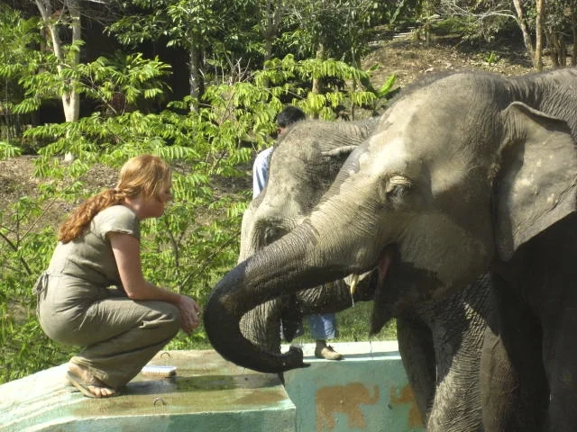 making friends at an elephant sanctuary | Sukhothai, Thailand