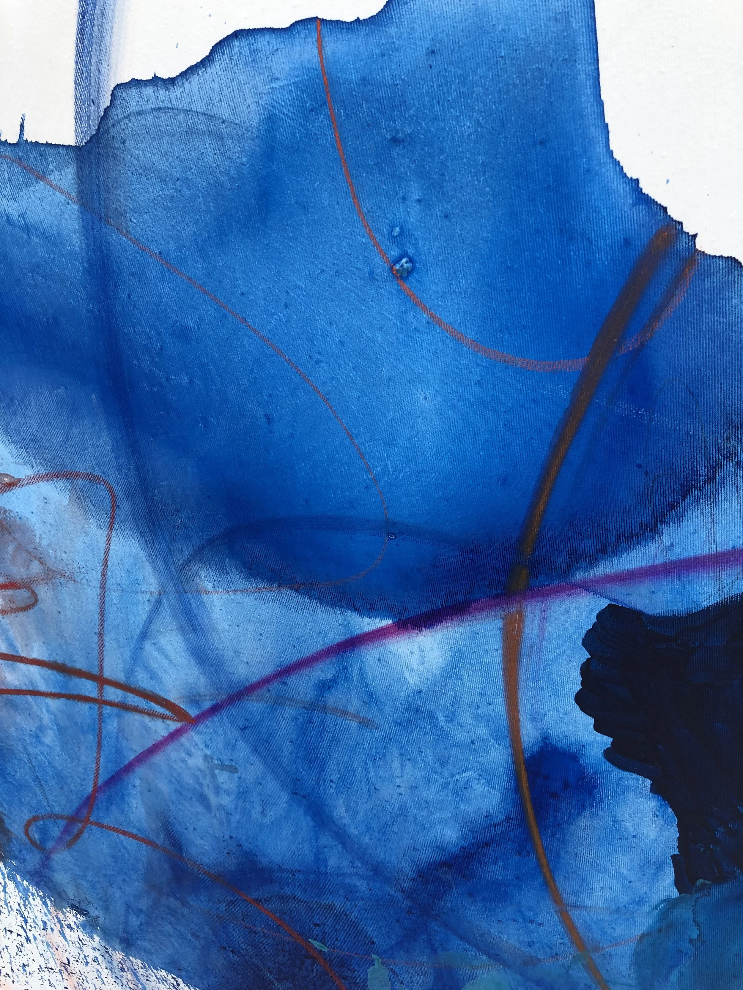 545D79BA-F55F-4470-BFA2-DCB49D1E6551