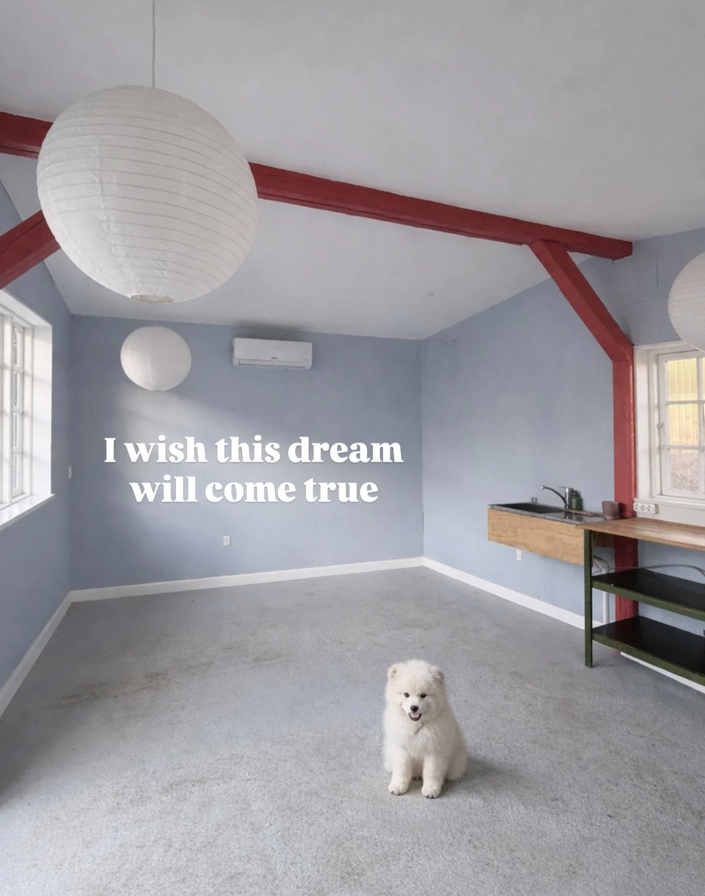 Getting a puppy for me and my family this year &hearts;️ Always wanted one and also a fellow to bring to my studio everyday. 

This sweetheart is just AI - but fingers crossed for a real furry and loving friend soon 🤍🤩✨

Any suggestions for a good 