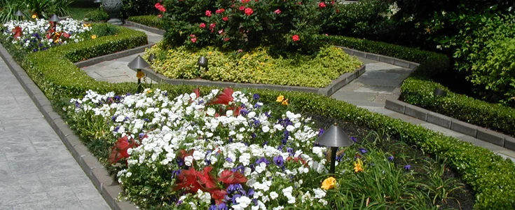 FlowerLandscape.jpg