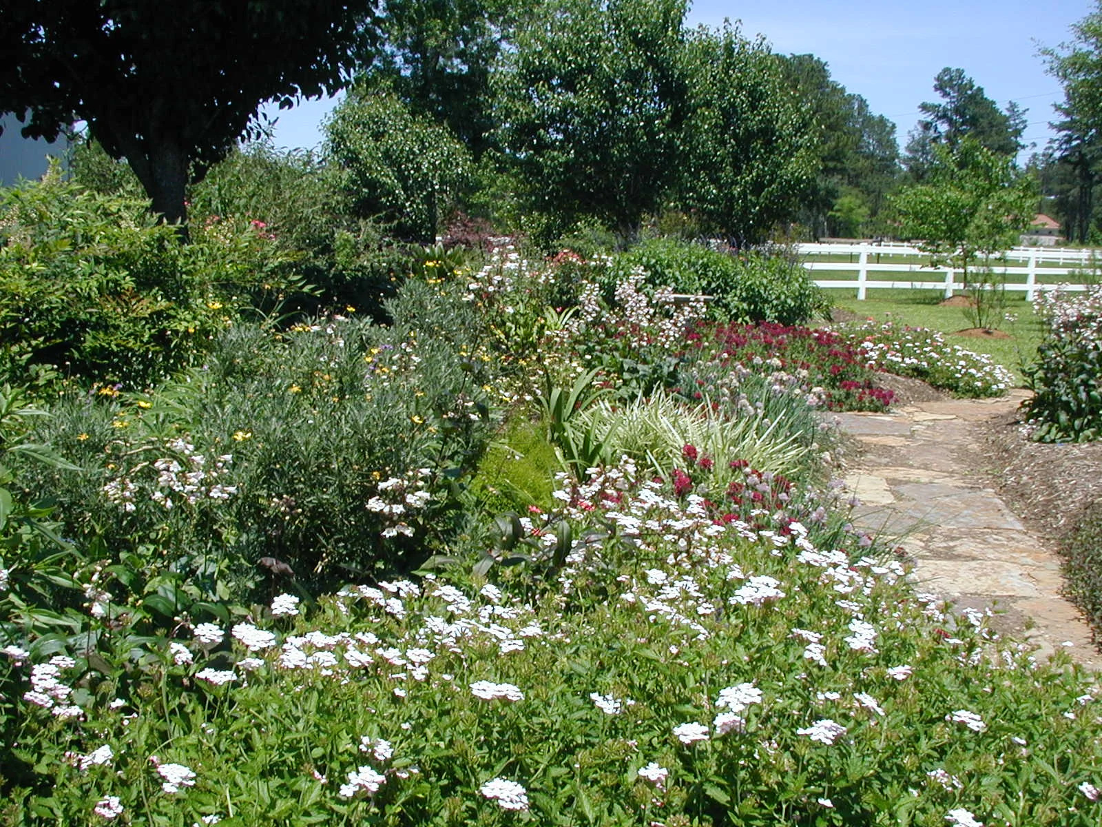 Landscape Design & Installation by Living Expression Landscapes. Check out more of our work at our Photo Gallery