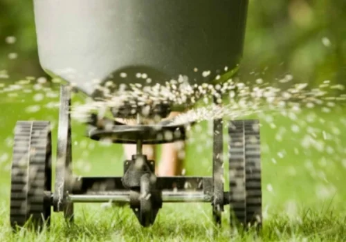 Lawn Fertilizer.jpg