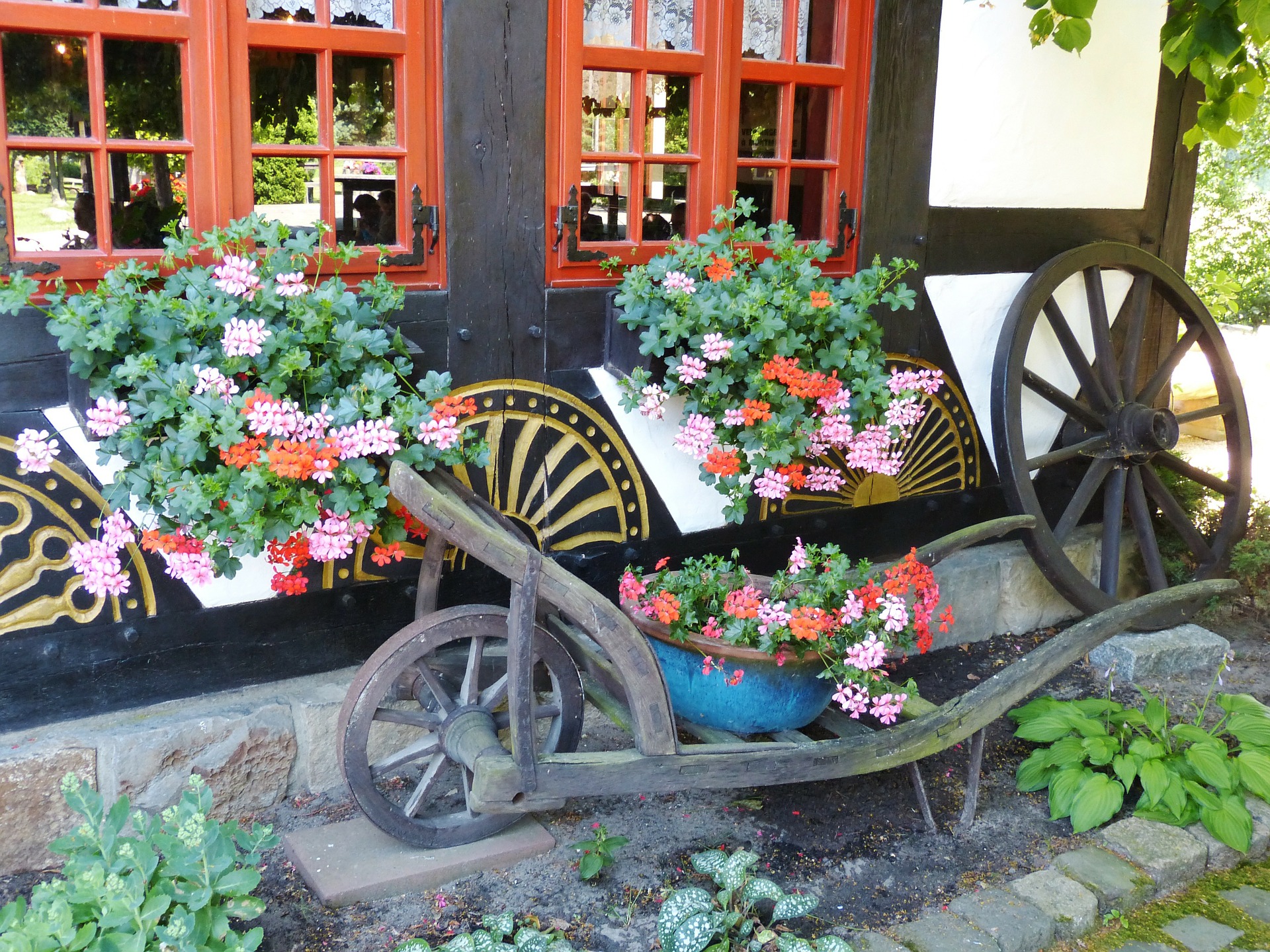 geranium-233586_1920.jpg