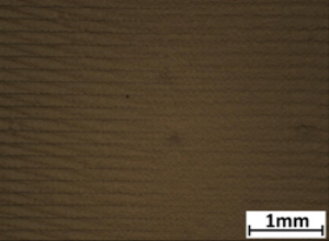 Image 3.png