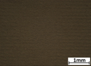 Image 4.png