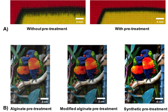 Figure 1: Importance of the pre-treatment of textile substrates for inkjet printing, A) inkjet-printed dye-sublimation ink (DIAMONTEX S) with ink bleeding on polyester textile without pre-treatment and reduced ink bleeding on pre-treated polyester textile (DIAMONTEX AF-U); B) inkjet-printed reactive ink (DIAMONTEX R) showing different color intensity on cotton substrates with alginate pre-treatment, modified alginate pre-treatment and synthetic pre-treatment (DIAMONTEX HQ-R)