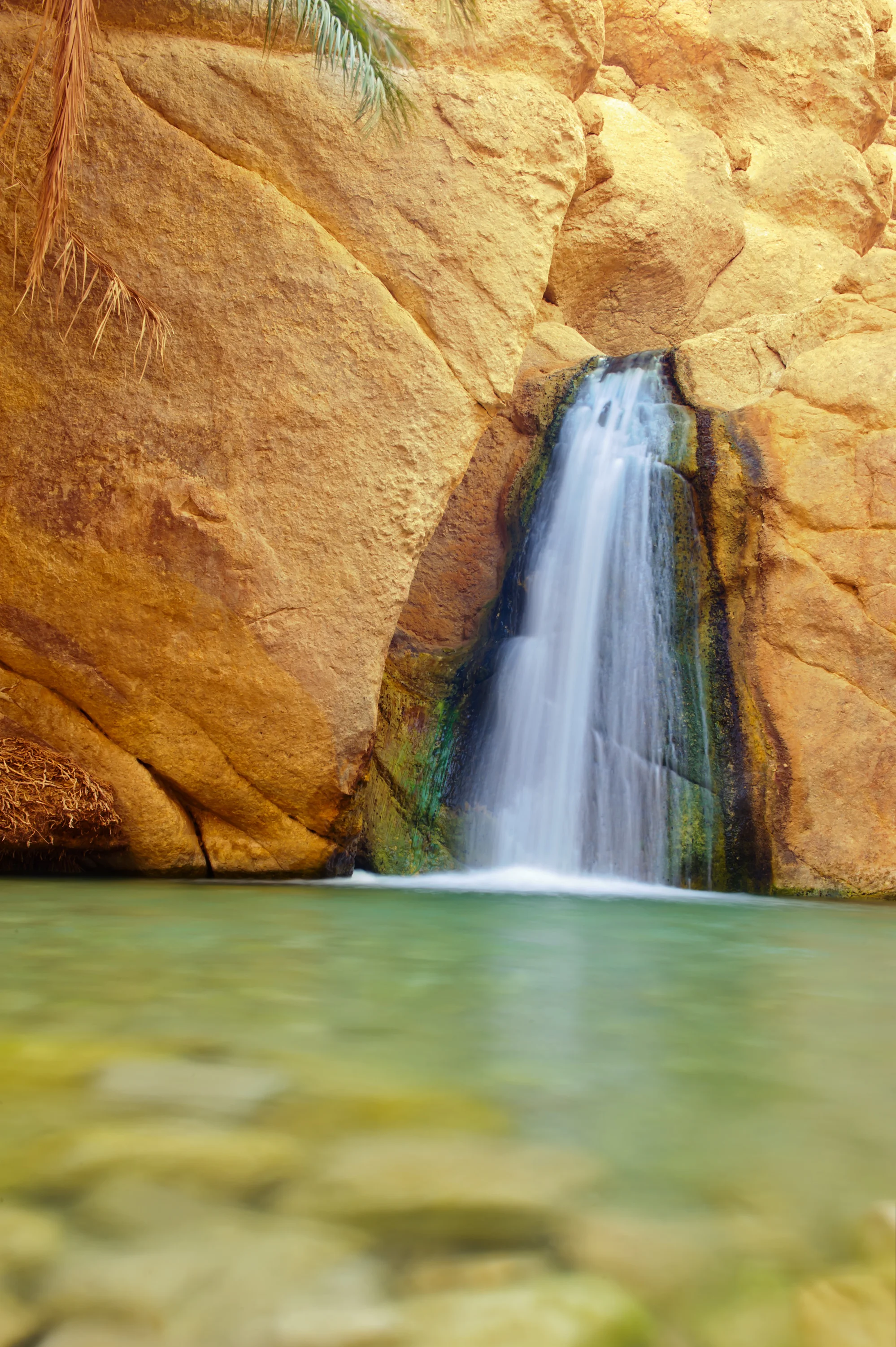 In The Loop & Under The Radar