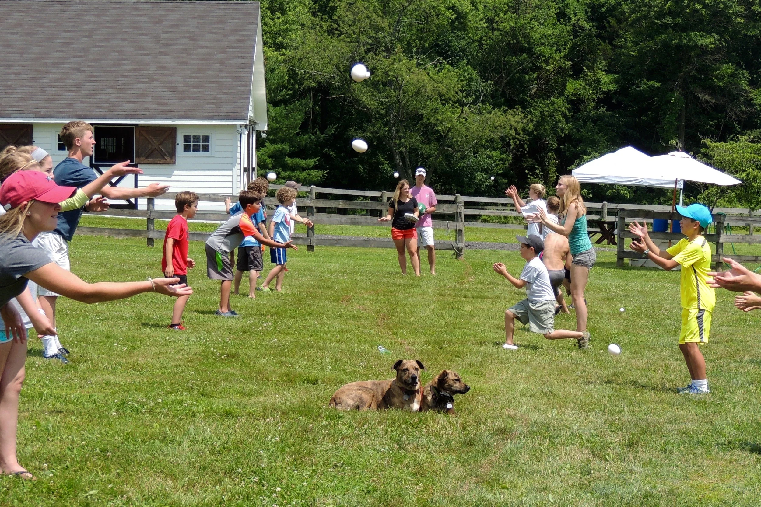 egg toss.jpg