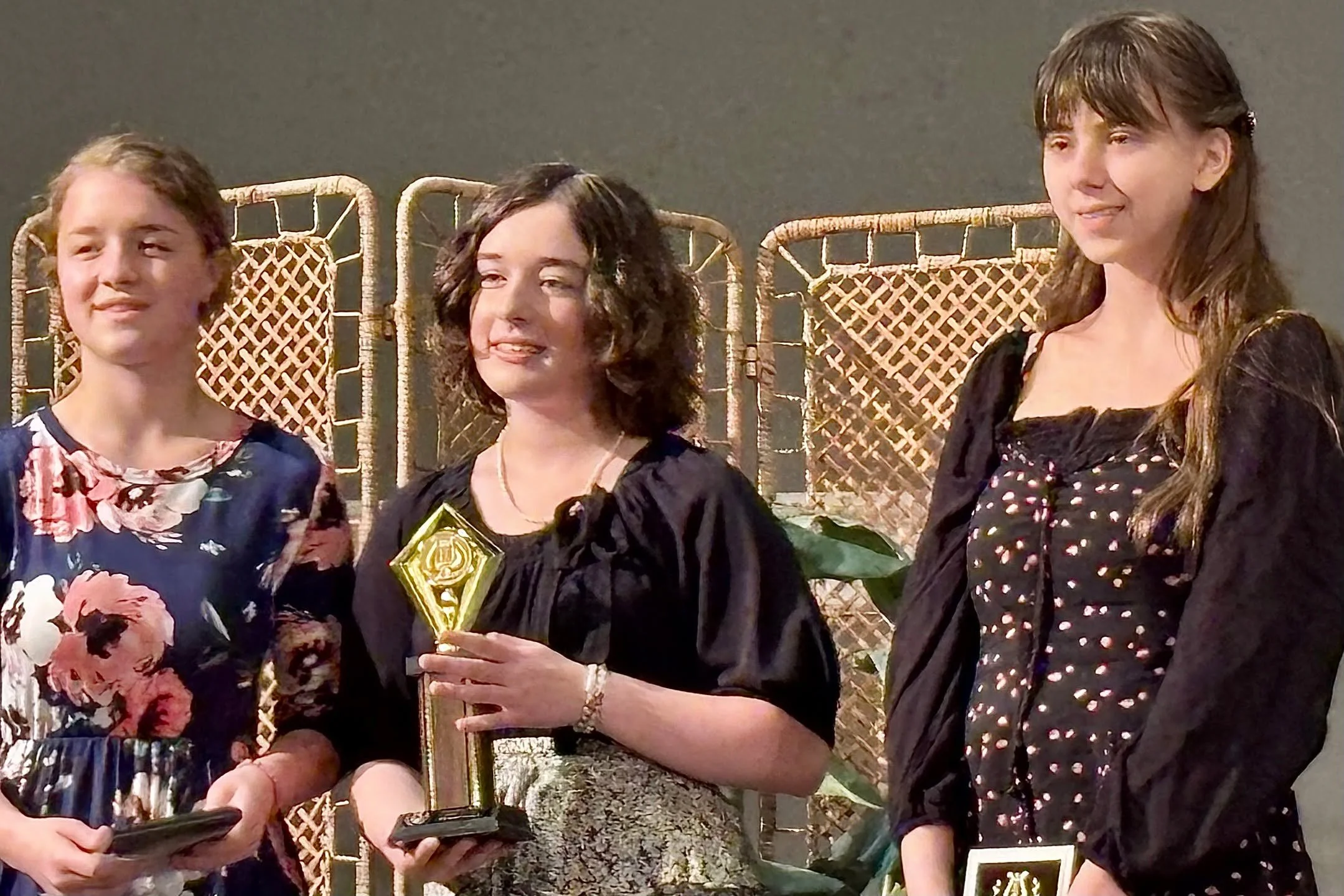 AAA Awards 2025
Each year our students enter the Lehigh Valley Music Teachers Association Achievement Awards Auditions. Students prepare a program of two pieces and receive an evaluation. The students who earn Superior Plus, the highest rating, can e