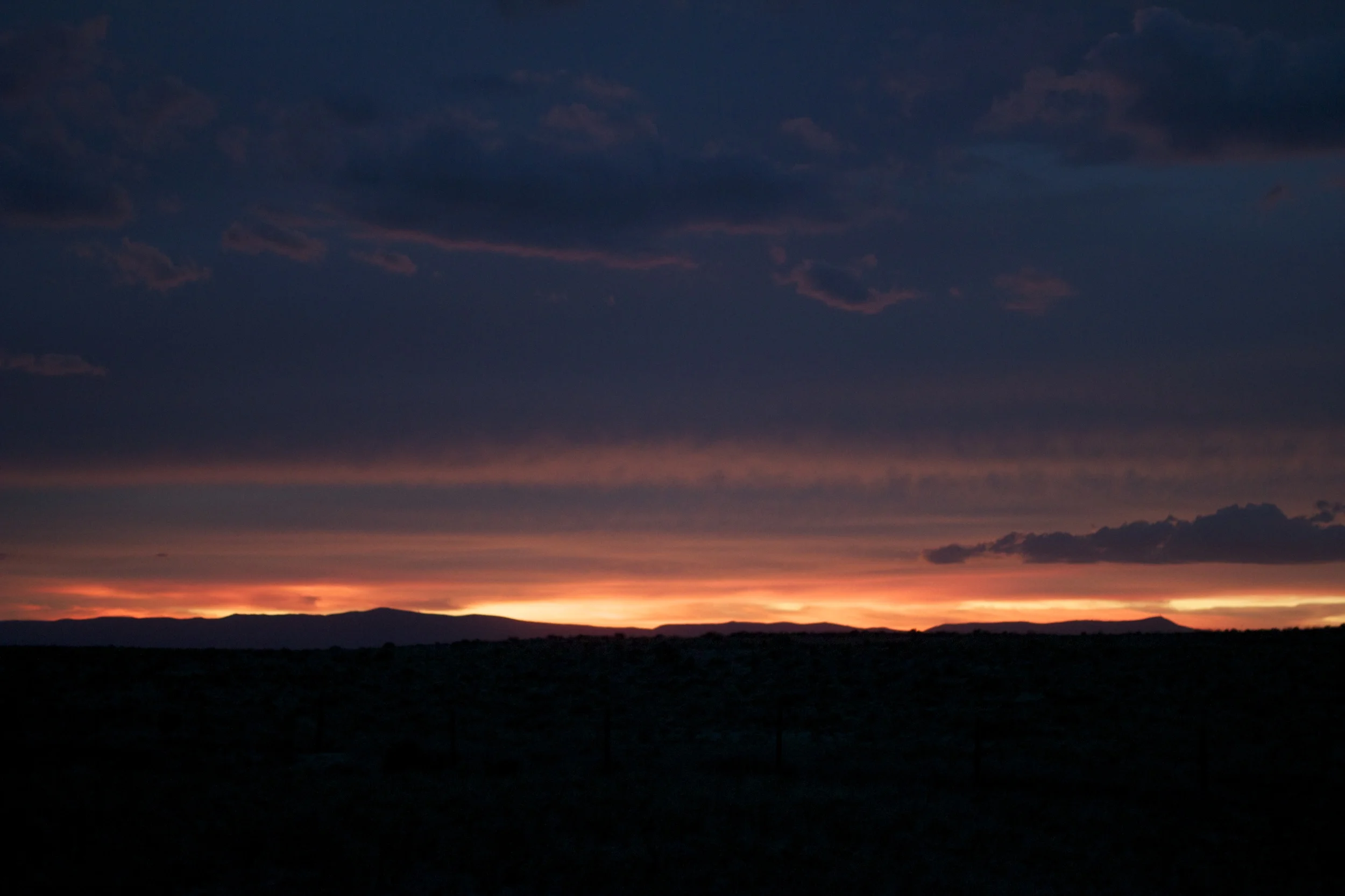 IMG_7462.jpg
