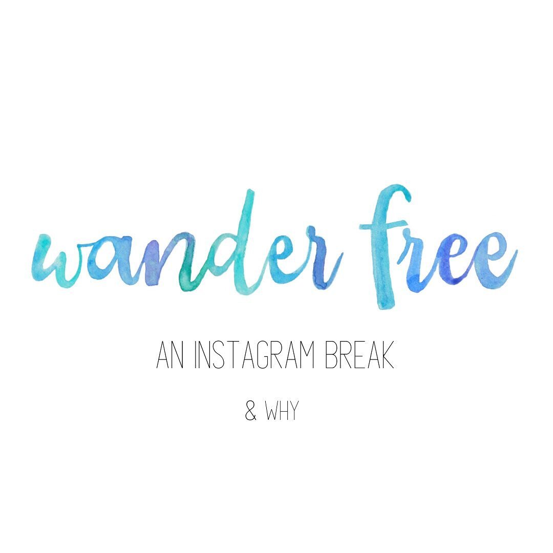 Wander Free &amp; Email Me

Please note that starting on January 1st I have been taking an instagram break for what is an undetermined amount of time. I post here now to let it be known that if you&rsquo;d like to connect with me for any events or go