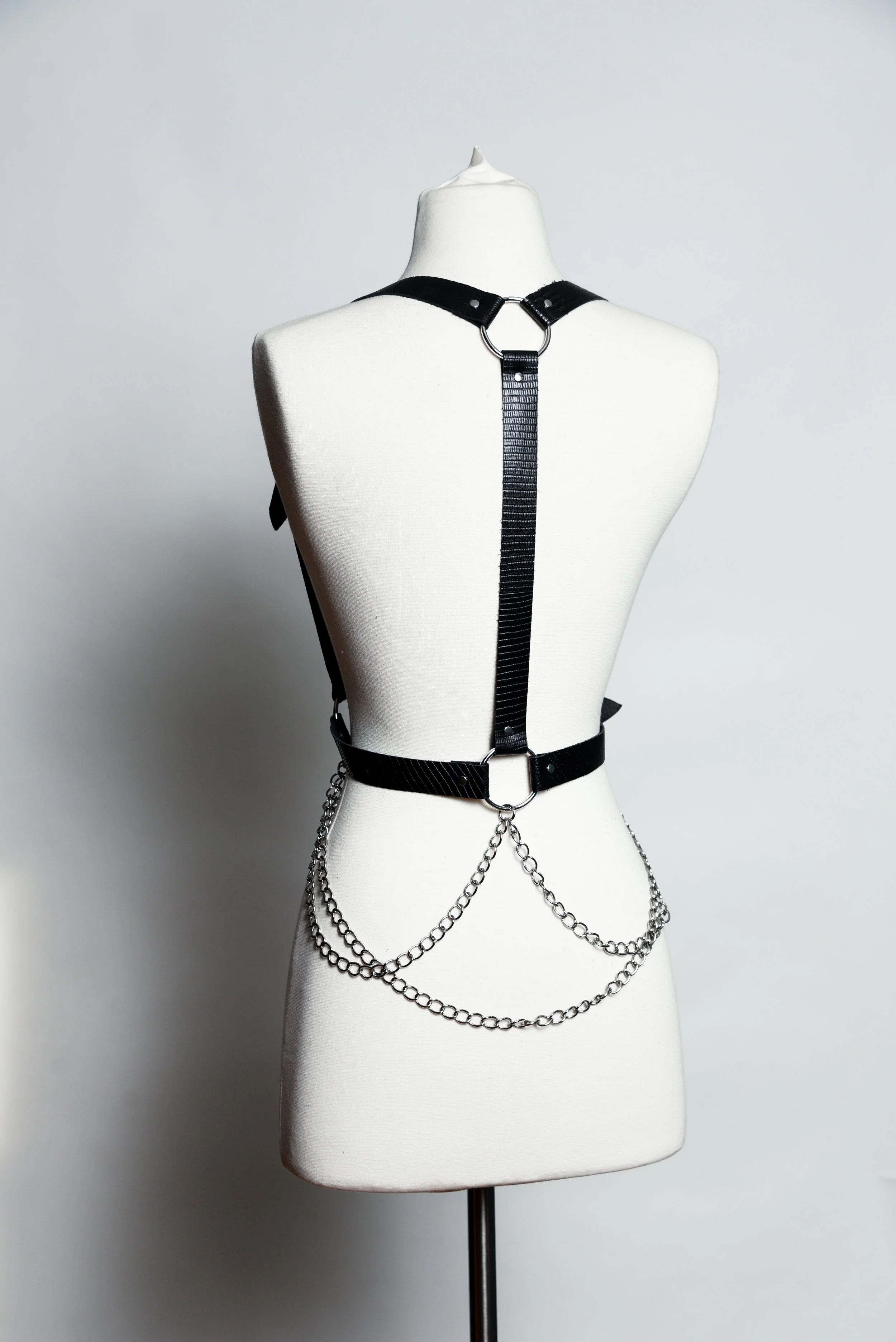 Harness-1.jpg
