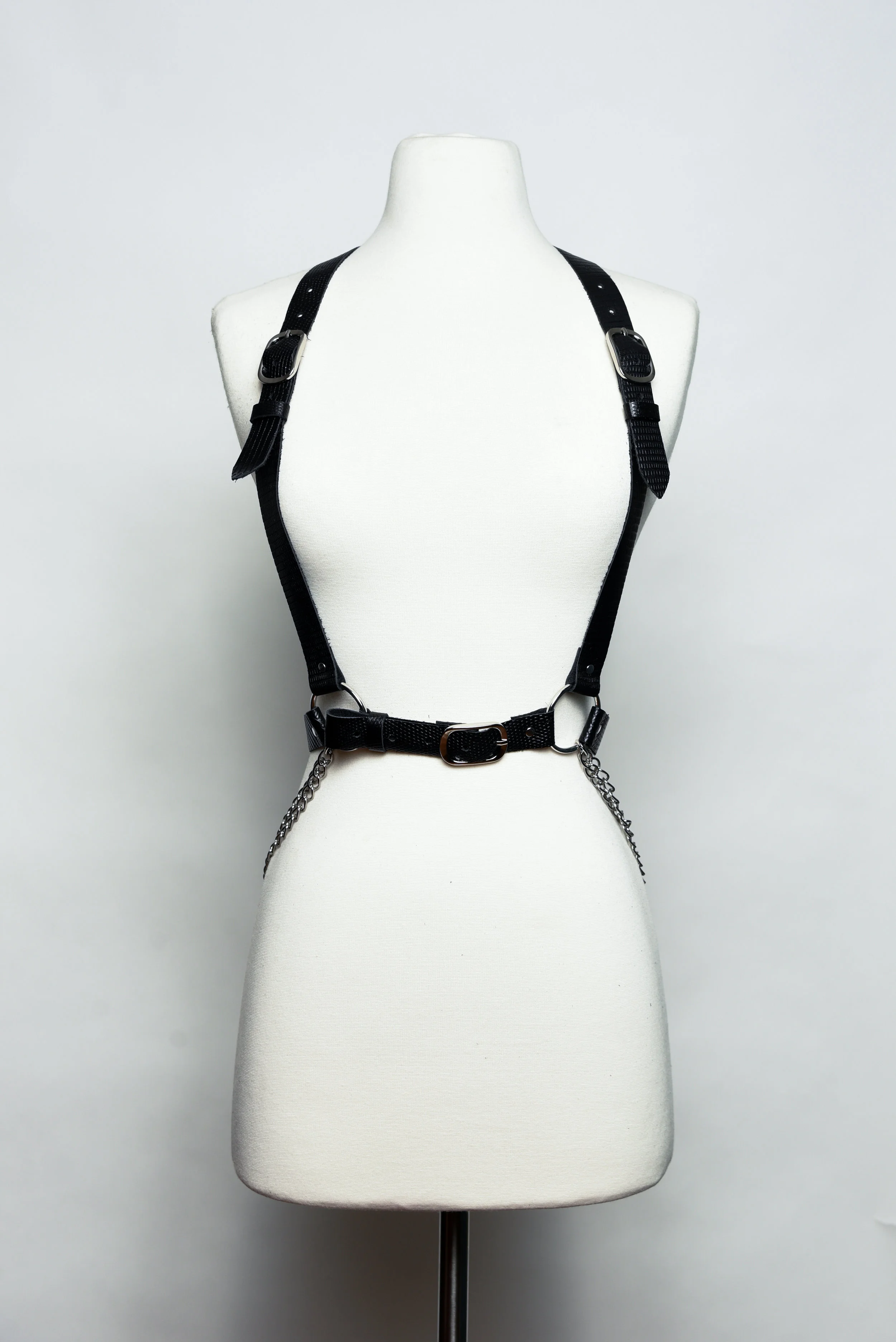 Harness-3.jpg