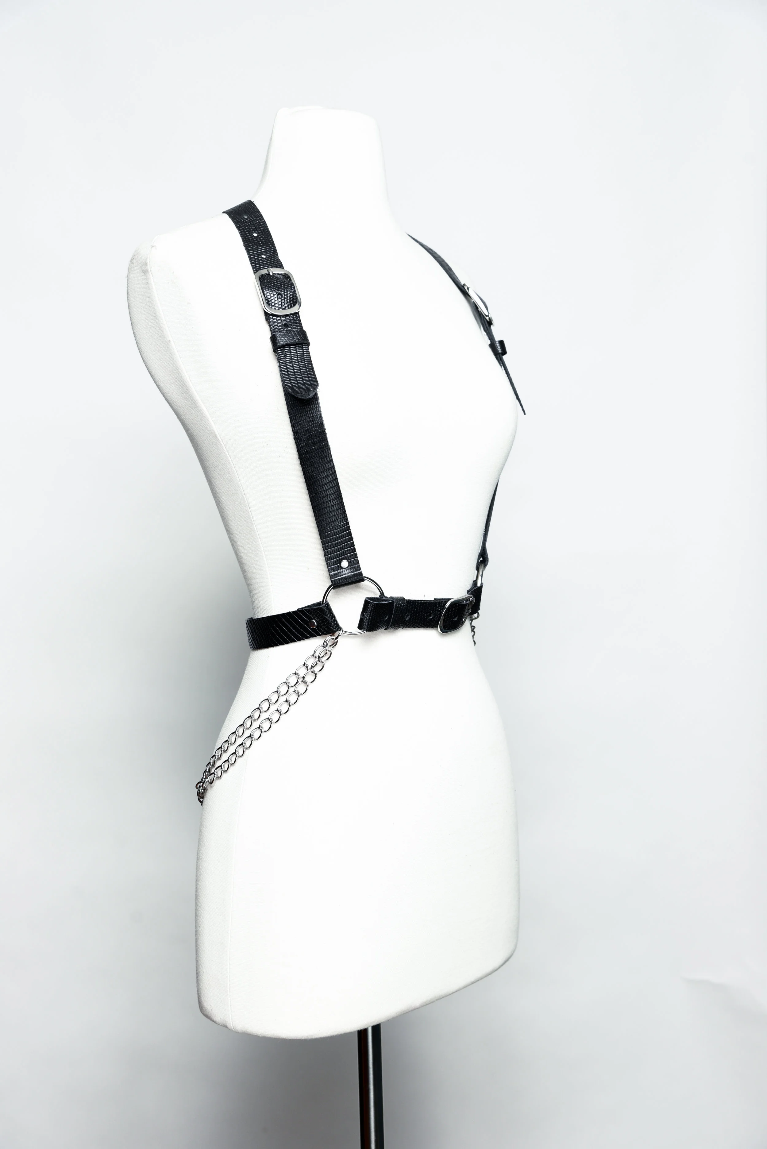 Harness-4.jpg