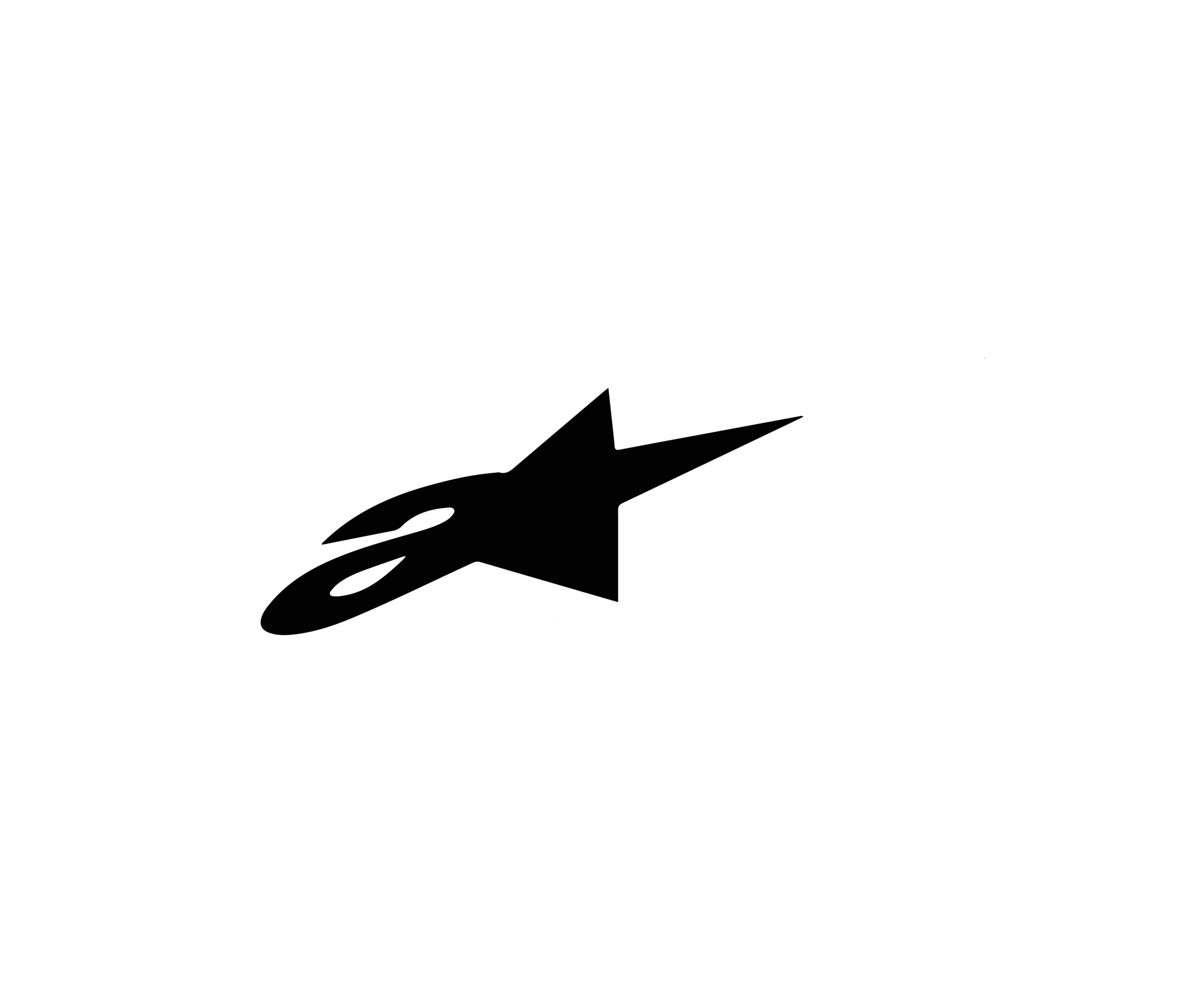 ALPINESTARS NEW-01.png