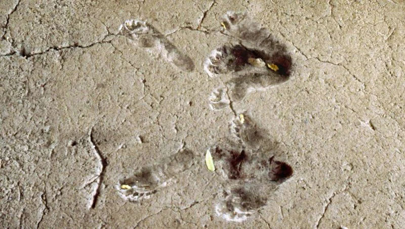 oldest jazz step.jpg