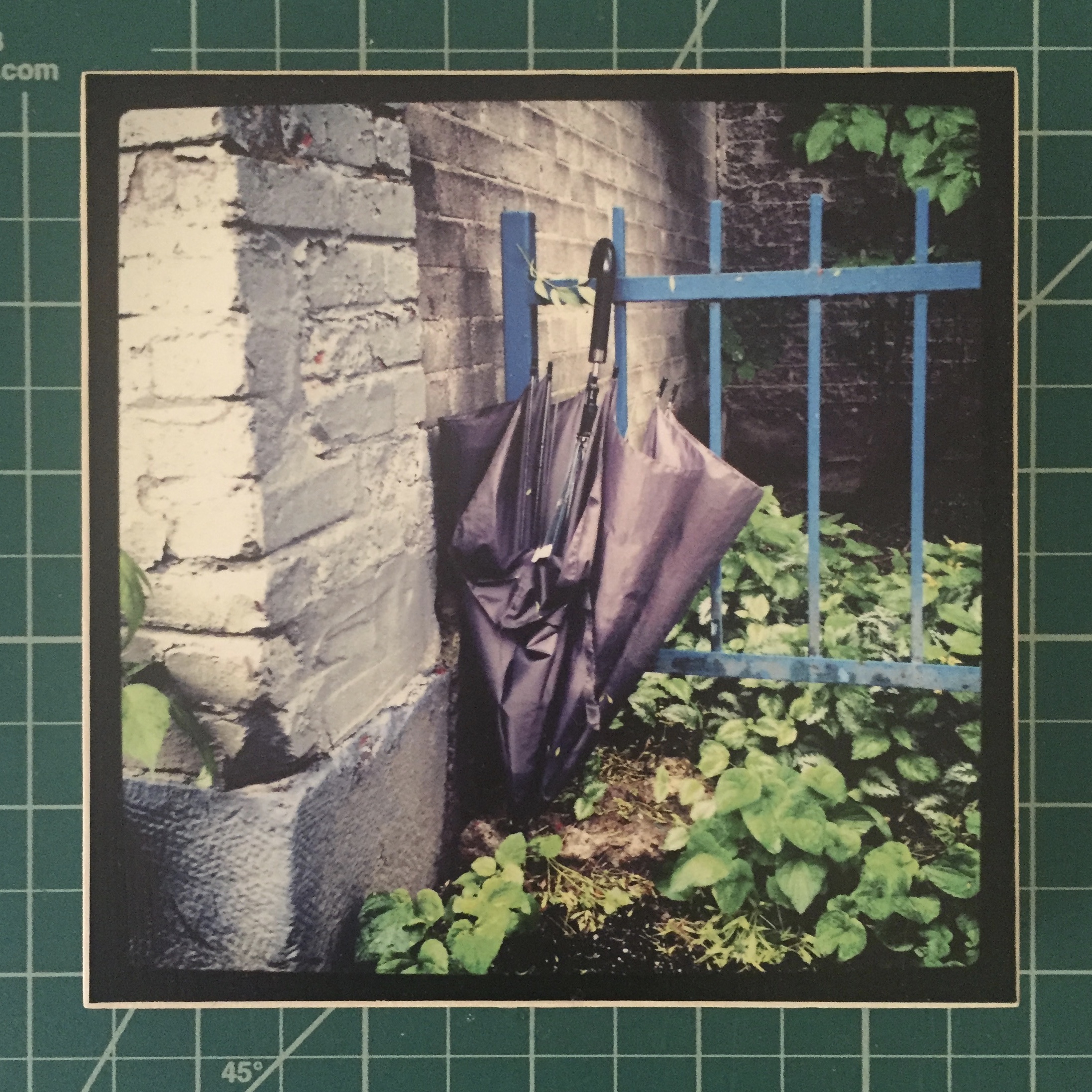 5 x 5" printed photo mounted on wood panel with 7/8" cradle. $50.